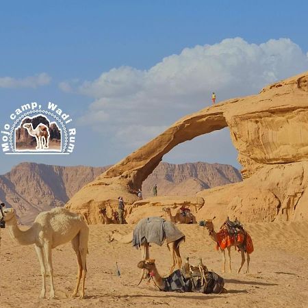 Mojo Camp, Wadi Rum Exteriör bild
