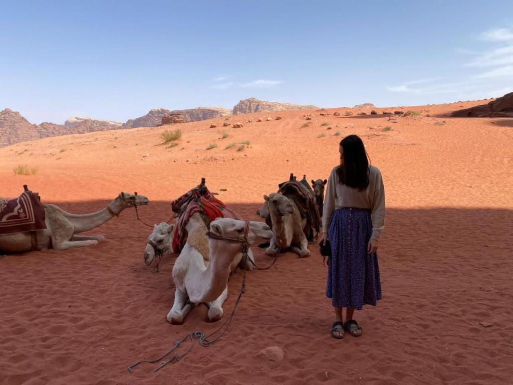 Mojo Camp, Wadi Rum Exteriör bild