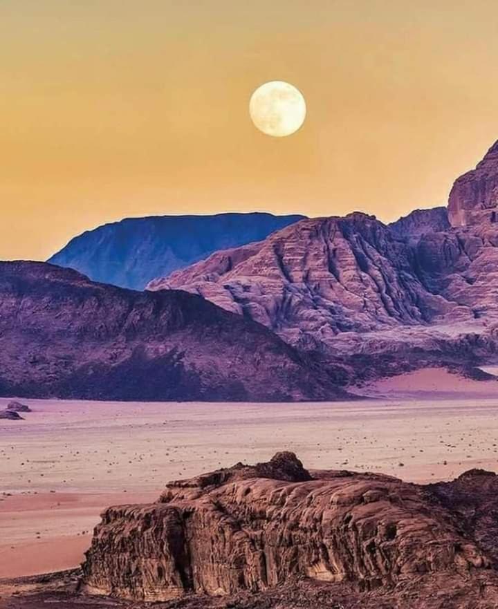Mojo Camp, Wadi Rum Exteriör bild
