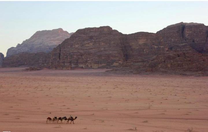 Mojo Camp, Wadi Rum Exteriör bild