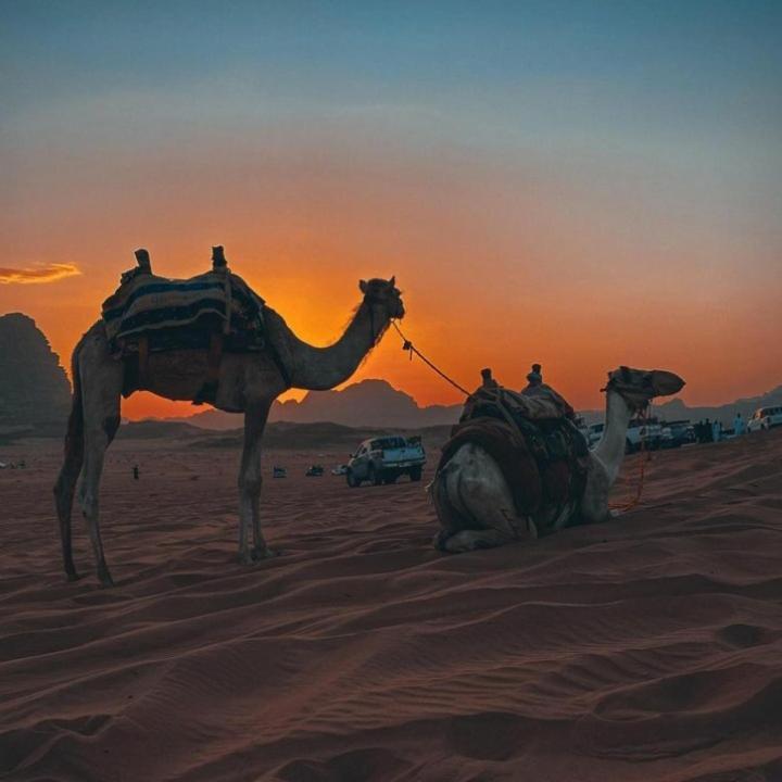 Mojo Camp, Wadi Rum Exteriör bild
